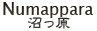 Numappara