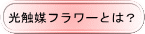 光触媒フラワーとは?