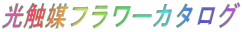 光触媒フラワーカタログ